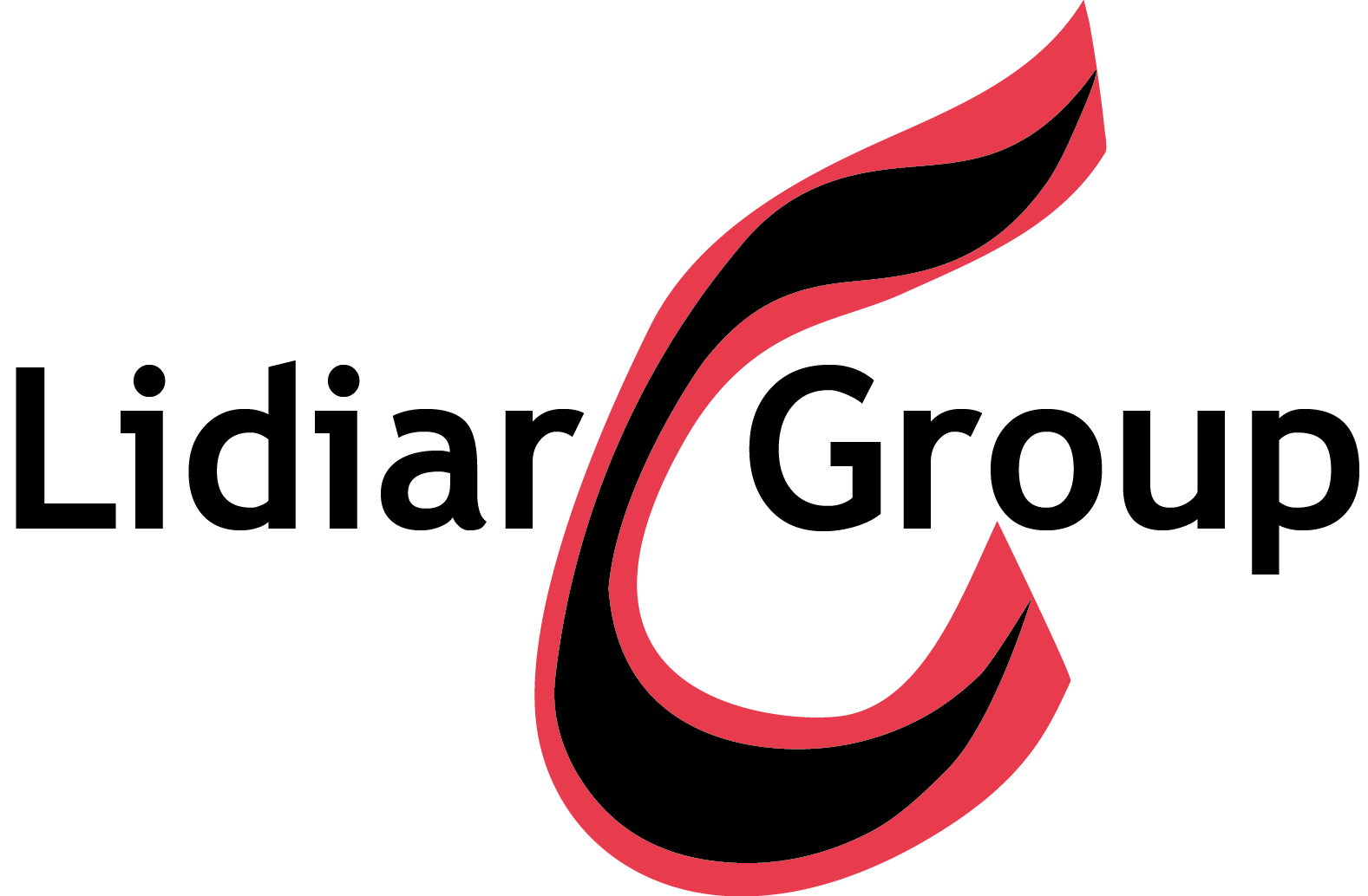 Lidiar Logo
